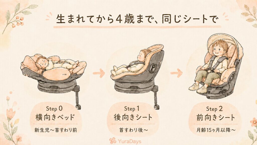フラディアグロウ エバーの3段階使用ステップの図解。Step0(横向きベッド・新生児)→ Step1(後向きシート)→ Step2(前向きシート)の流れを水彩イラストで表現。