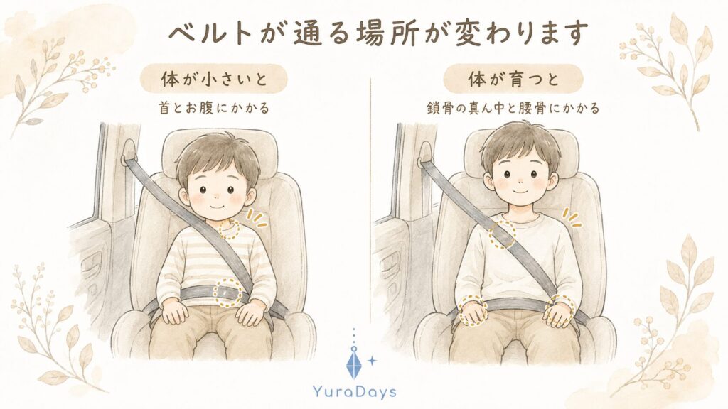 体が小さい子どものシートベルトは肩ベルトが首に腰ベルトがお腹にかかるが、正しい位置では鎖骨の中央と腰骨にかかることを比べた図